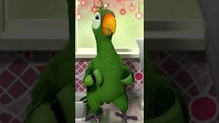 Bismillah Bismillah, Talking parrot  , Islamic song , short video