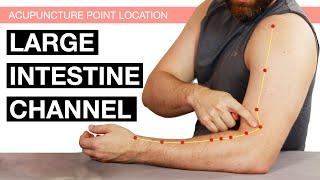 Acupuncture Point Location: The Large Intestine Channel (Large Intestine Meridian)