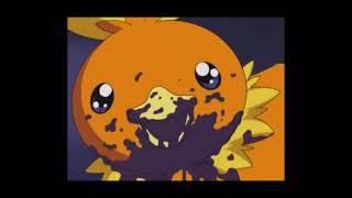 Pokemon Advanced: Torchic Ate All The Berries...