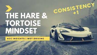 ACC Insights | Wet Driving Mindset - Hare and the Tortoise