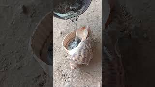 Upcycling Copper: Creating a Snail Shell from Scrap #shorts #viralvideo #restoration #reels