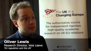 Interviews with panellists from What influence? The UK and Europe