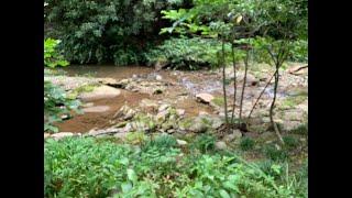 CALMING SOUNDS OF WATER REVITALIZING  ENERGY #asmr  #water #calmingsounds #naturesoundsforsleeping