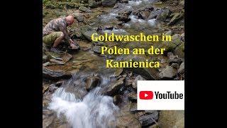 Goldwaschen in Polen an der Kamienica