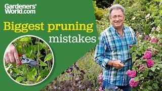 Avoid these pruning mistakes! Alan's top pruning advice