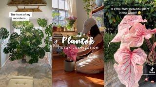 plants | Plantok Tiktok Compilation