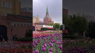 Москва. Александровский сад.