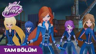 World of Winx | TÜRKÇE | S2 Bölüm 9 | Kahraman Geliyor | TAM BÖLÜM