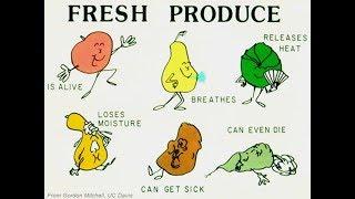 "Postharvest Cooling & Curing" by Chris Callahan at NEVFC