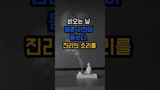 비오는 날 멈춘자만이 듣는다 진리의 소리를 |반야심경| #부처님말씀#부처님가르침 #인생조언#명언