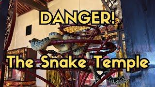 Penang Hill & I Found Malaysia's Secret Snake Temple! 