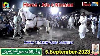 Ata e Kirmani ll Ch Zafar Gujar l Horse Dance Mehar Da Chak Jhnag l 5 Sep 2023