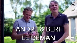 PIPA TV: Gebroeders Leideman (NL) talk about their top pigeon 'Goed Grijs'