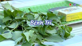 Bệnh Trĩ