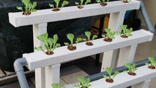 Hydroponic farm At home : Building DIY Hydroponic System .