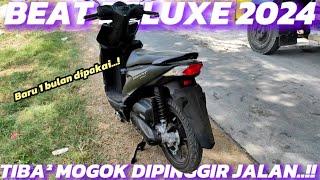 BEAT DELUXE 2024|BARU SATU BULAN UDAH MOGOK‼️