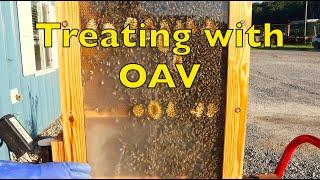 Treating Our Observation Hive For Mites