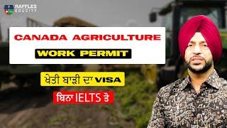 ca CANADA Agriculture Work Permit | CANADA Work Visa | ਖੇਤੀ ਬਾੜੀ ਦਾ Visa #canada #canadaworkpermit