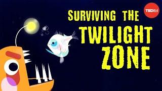 Could you survive the real Twilight Zone? - Philip Renaud and Kenneth Kostel