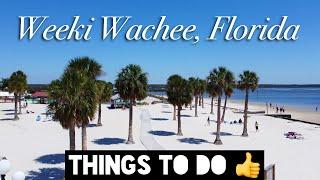 Things To Do In Weeki Wachee, Florida #florida #travel