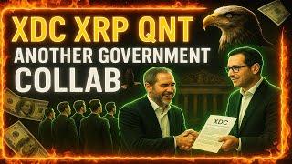 XDC XRP and QNT News You Can’t Miss!