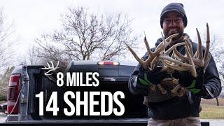 Shed Hunting - Found 14 Sheds in 8 Miles!! My Best Shed Hunt?!