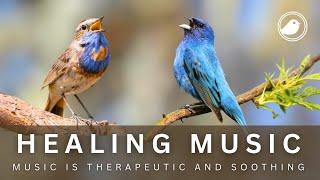Relaxing Music With Birds Singing - Deep Relaxation & Spiritual Refreshment