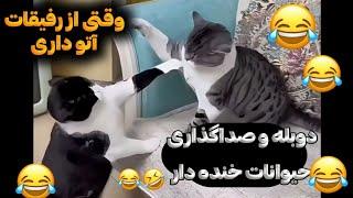 وقتی زن عصبی میشه دوبله و صداگذاری حیوانات خنده دار و طنز 