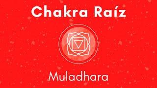 Chakra Raíz - Equilibrar y Limpiar el Primer Chakra - Reiki Chakra Raíz