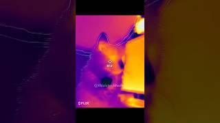 Unboxing a Thermal Camera! FLIR One Edge Pro