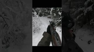 охота на оленей очень близкоdeer hunting  #caccia #chasse #охота #охотанаоленя