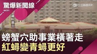 螃蟹穴助航空事業橫著走　若想富好幾代紅蟳要變青蟳│【驚爆大來賓│林正義】│三立新聞台