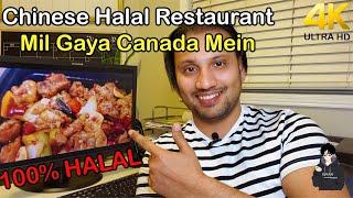 Chinese Halal Restaurant In Toronto | Canada | 4K