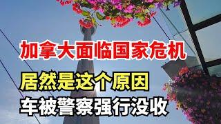 国家危机！加拿大居然因为这个原因面临国家危机！开了三年的车被警察强行没收