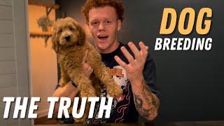 THE TRUTH About Dog Breeding