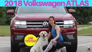 2018 Volkswagen Atlas V6 4Motion: Andie the Lab Review! #Volkswagen #2018Atlas #AndietheLab