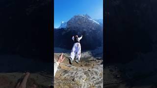 jumping from a 2400ft cliff in ️ #mountains #basejump #adventure #adrenaline #snow #winter