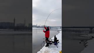 Не забывайте снимать клипсу #рыбалка #фидер