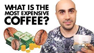 What is the most expensive coffee? How Panama Geisha coffee became the King of coffee!