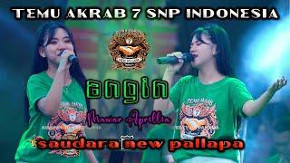 ANGIN - MAWAR APRILLIA - NEW PALLAPA - TEMU AKRAB 7 SNP 2024 GOR SIDOARJO