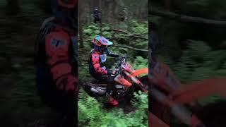 Эндурим овраги через лес #regulmoto #эндуро #kayo #enduro