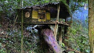 TIMELAPSE: Top The most beautiful tree houses I have built. Bushcraft building in the forest.