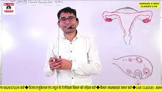 LIVE- BIOLOGY HUMAN REPRODUCTION PART-4 | RUHS BSC NURSING LIVE CLASSES | AIIMS & RUHS CLASS BIOLOGY