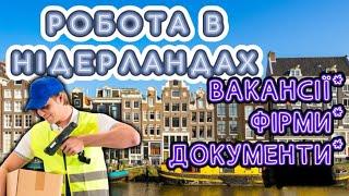 Блог з Нідерландів/ Шукаємо роботу в Нідерландах/ Безкоштовні вакансії/ Перша робота 2024