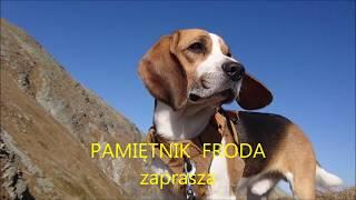 Beagle - spacer po Tatrach