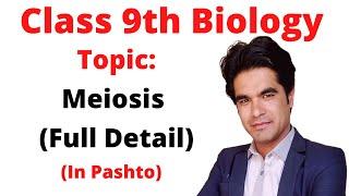 Meiosis | Meiosis full lecture in pashto | Home of biology