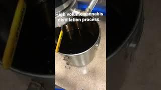 Cannabis extraction and distillation process. @chilly_winter_