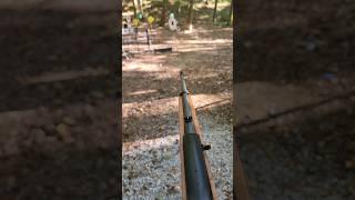 Fastest Ruger 10/22 in the world.
