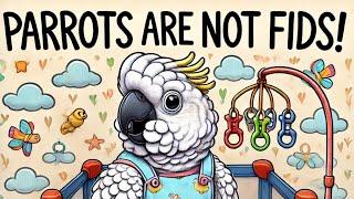 Understanding Parrots - Dispelling Common Misconceptions. Parrots aren't FIDS!