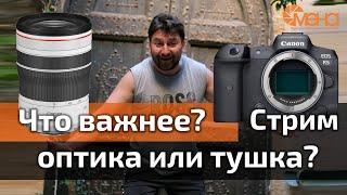 Что важнее? Оптика или тушка?